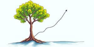 El Poder de la Simplicidad: Menos es Más en Inversiones