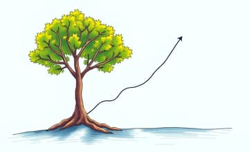 El Poder de la Simplicidad: Menos es Más en Inversiones